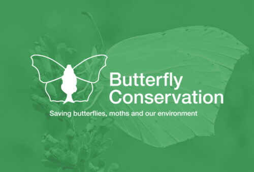 Butterfly Conservation logo