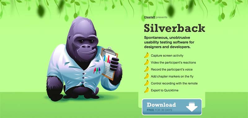 Picture of the Silverback website