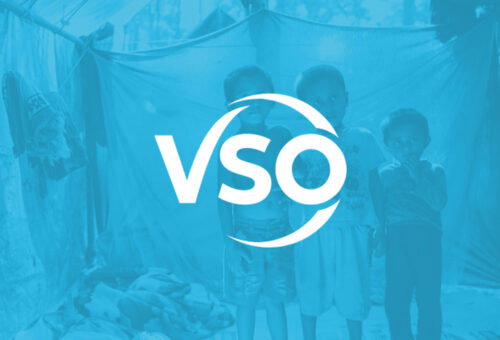 VSO International logo