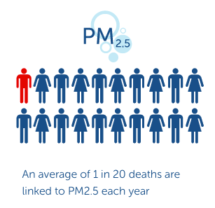 Visualisation illustrating the average of 1 in 20 deaths linked to PM2.5 particulates each year